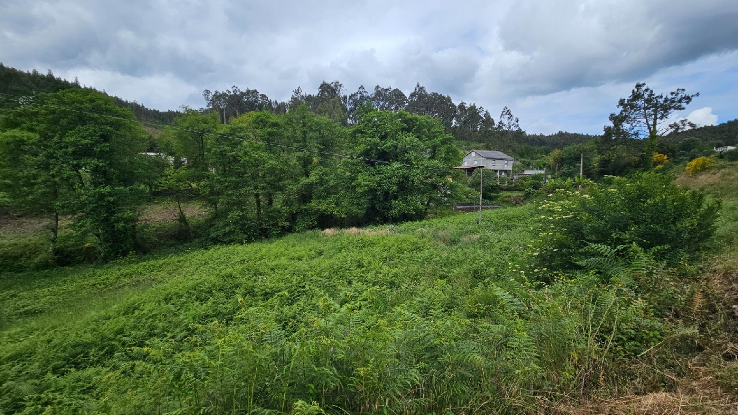  en venta terreno Culleredo Coruña 6