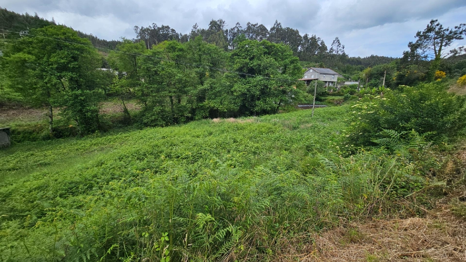  en venta terreno Culleredo Coruña 5