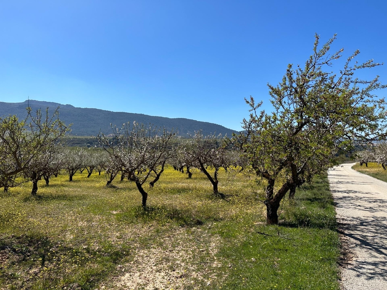  kaufen Grundstück Dílar Vega De Granada 2