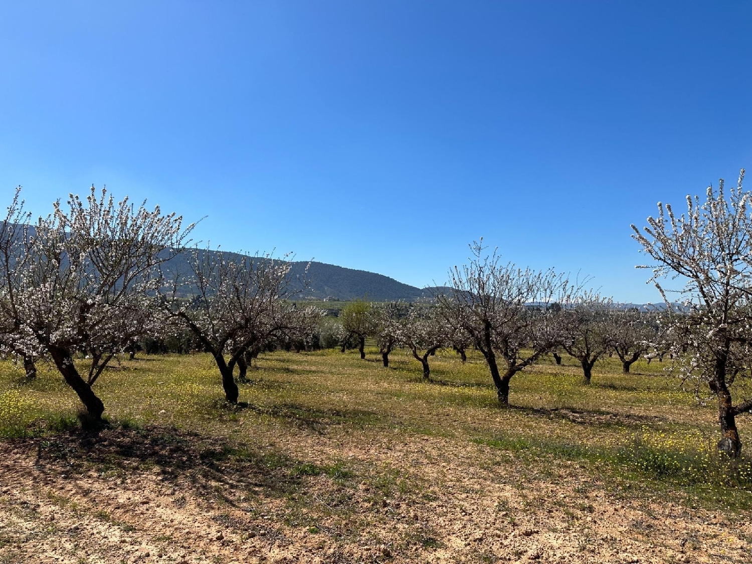 te koop perceel Dílar Vega De Granada 4