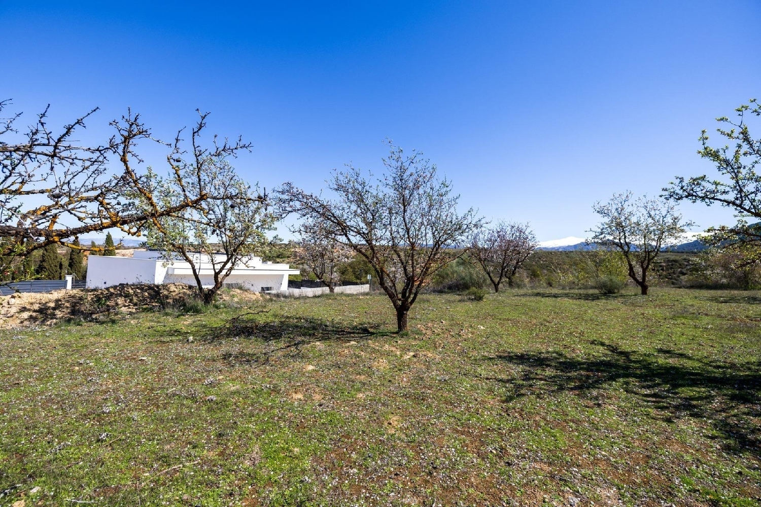  en venta terreno Dílar Vega De Granada 4