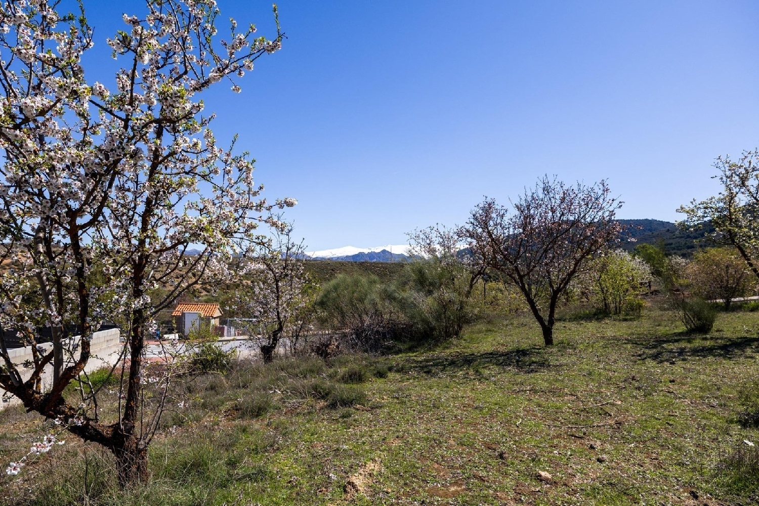  en venta terreno Dílar Vega De Granada 8