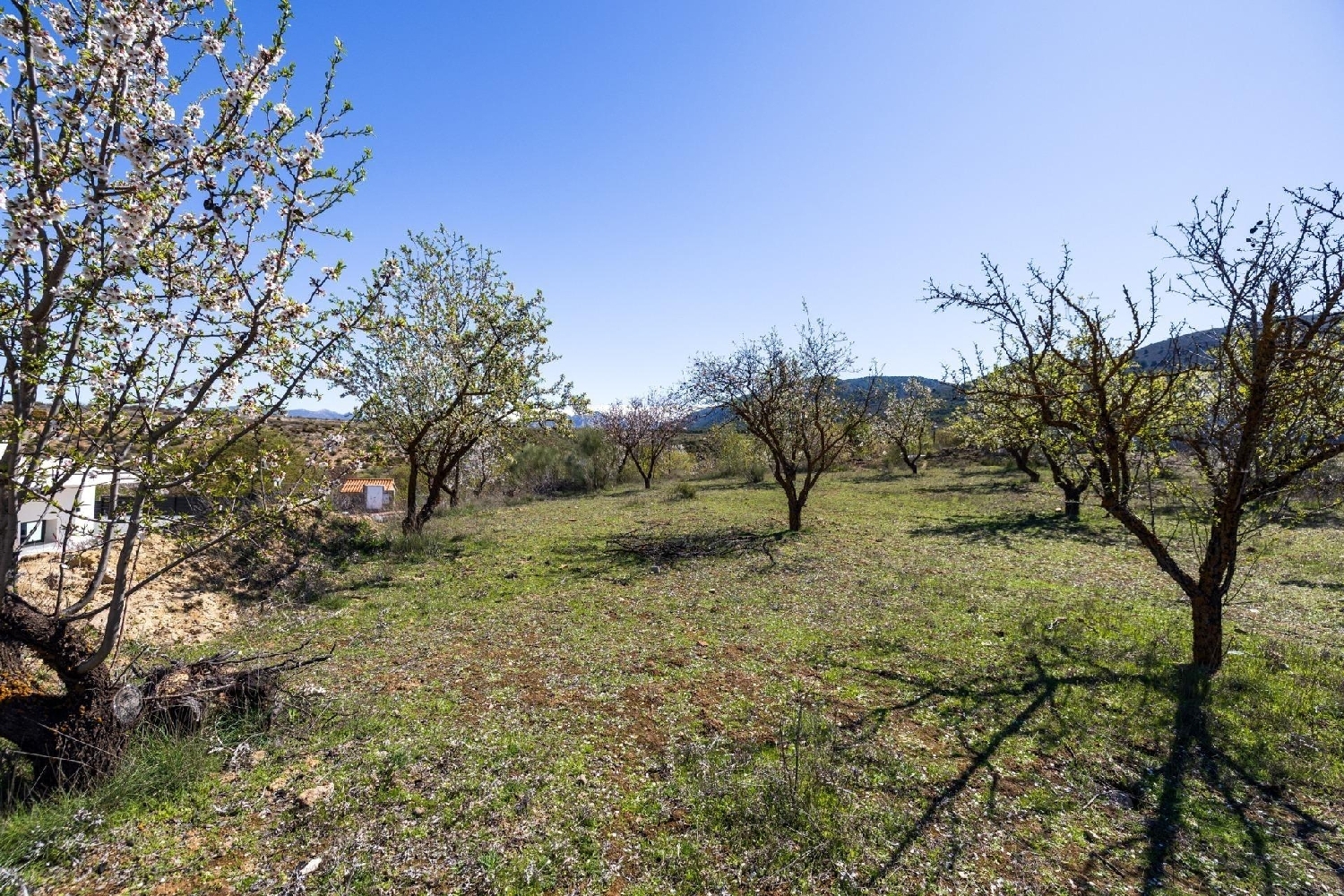  en venta terreno Dílar Vega De Granada 6