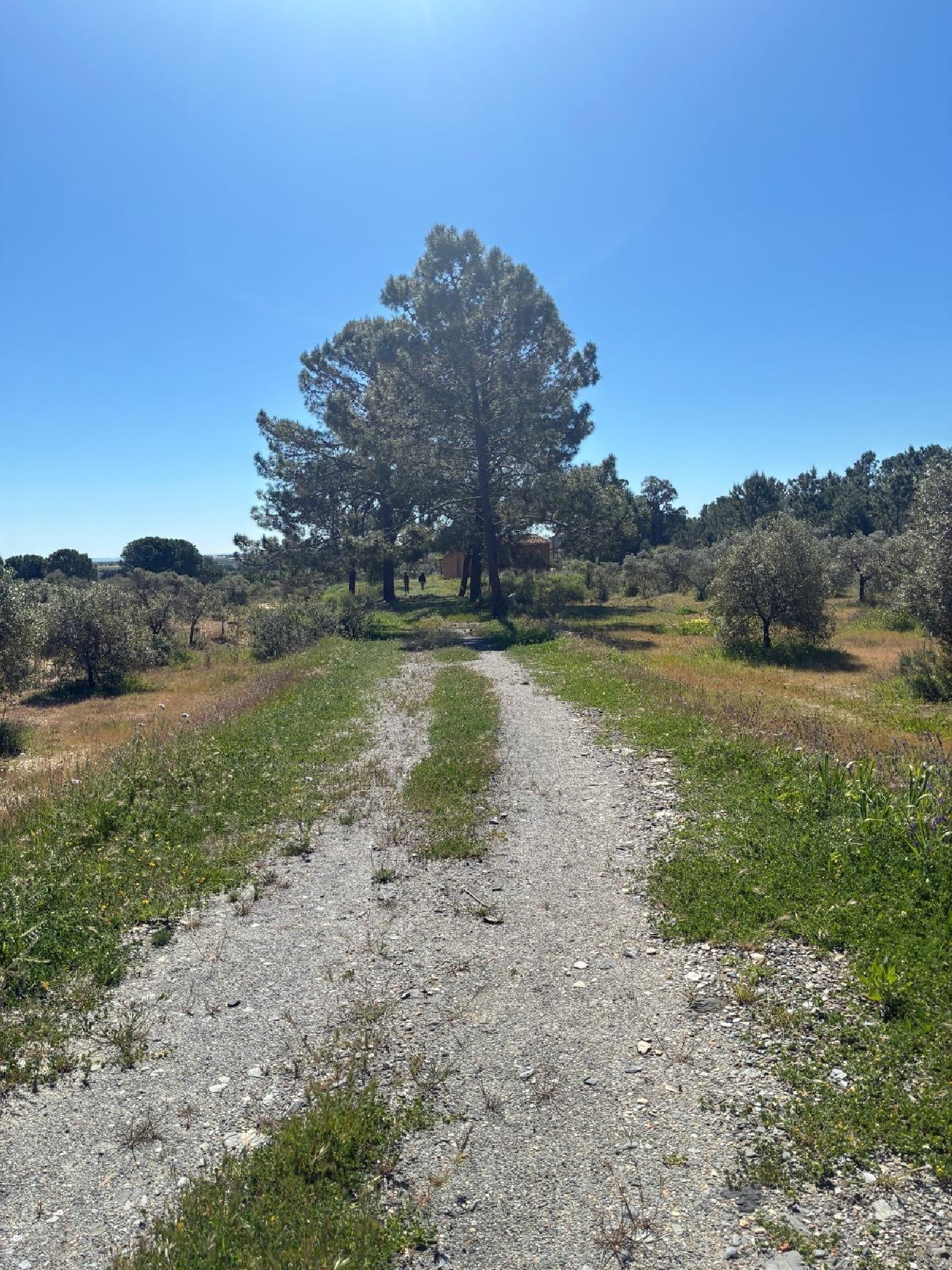  te koop perceel Gibraleon Metropolitana De Huelva 4