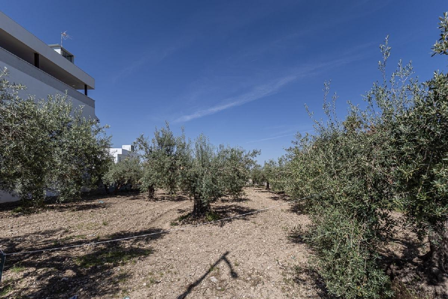 for sale plot Gójar Vega De Granada 8