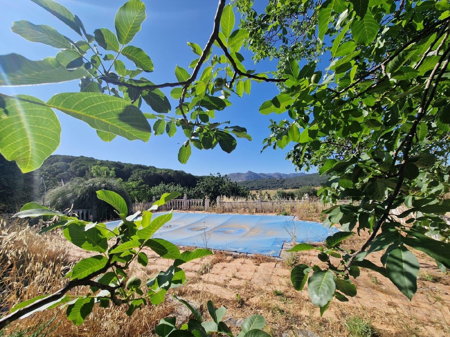 kaufen Grundstück Grazalema Sierra De Cádiz 5
