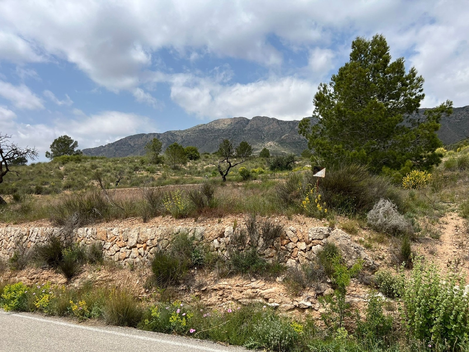  en venta terreno Hondón De Las Nieves Vinalopó Mitjà 8