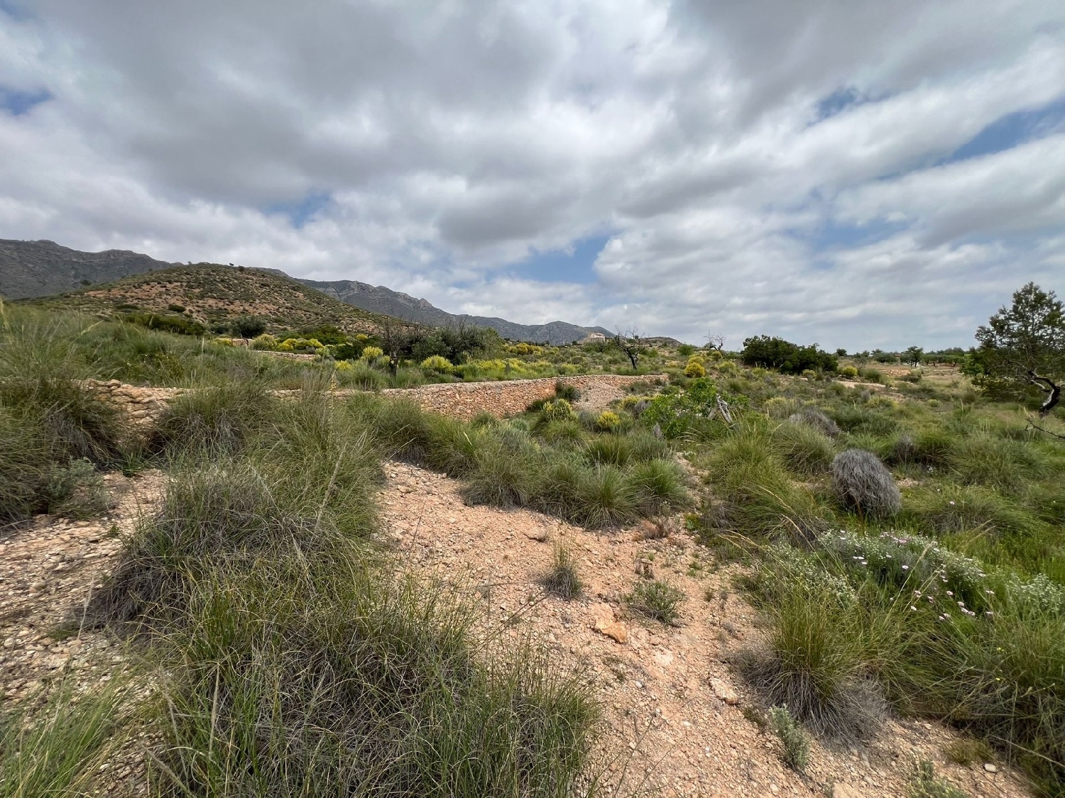  en venta terreno Hondón De Las Nieves Vinalopó Mitjà 7