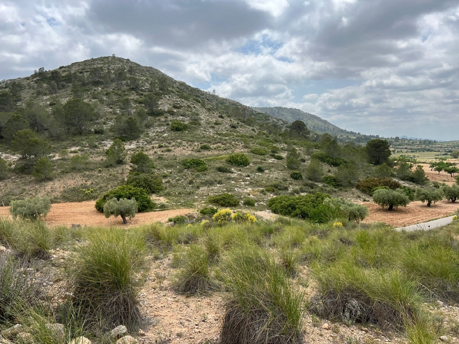  en venta terreno Hondón De Las Nieves Vinalopó Mitjà 5