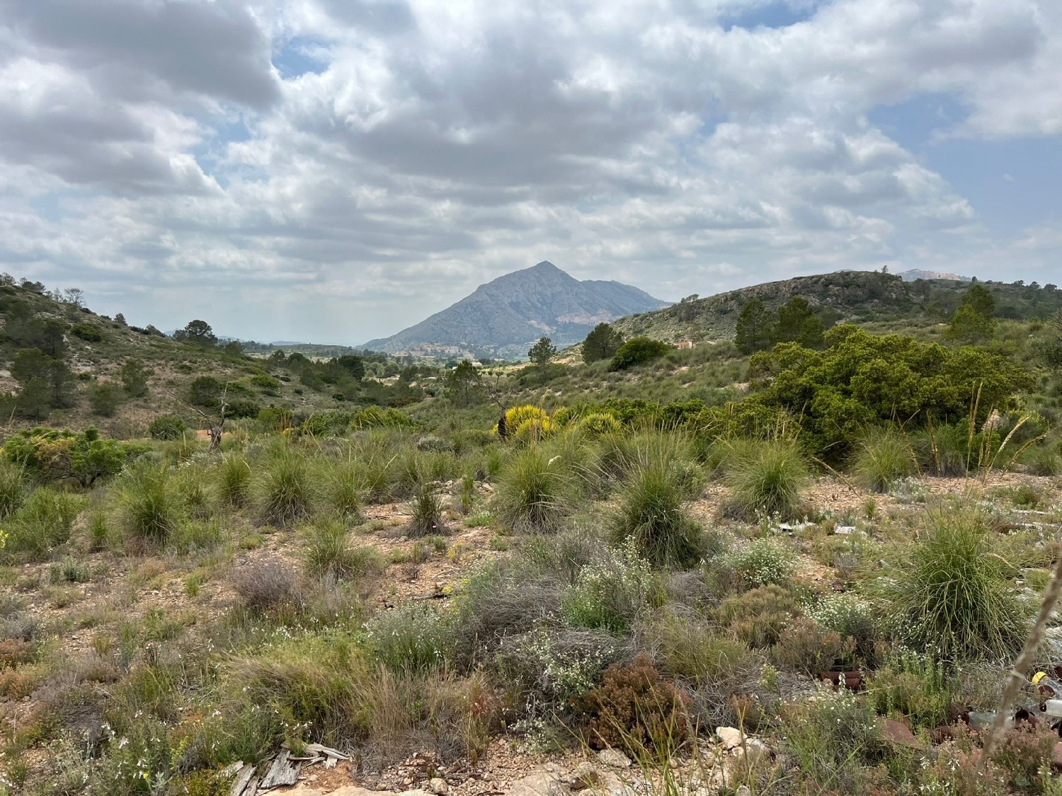  en venta terreno Hondón De Las Nieves Vinalopó Mitjà 1