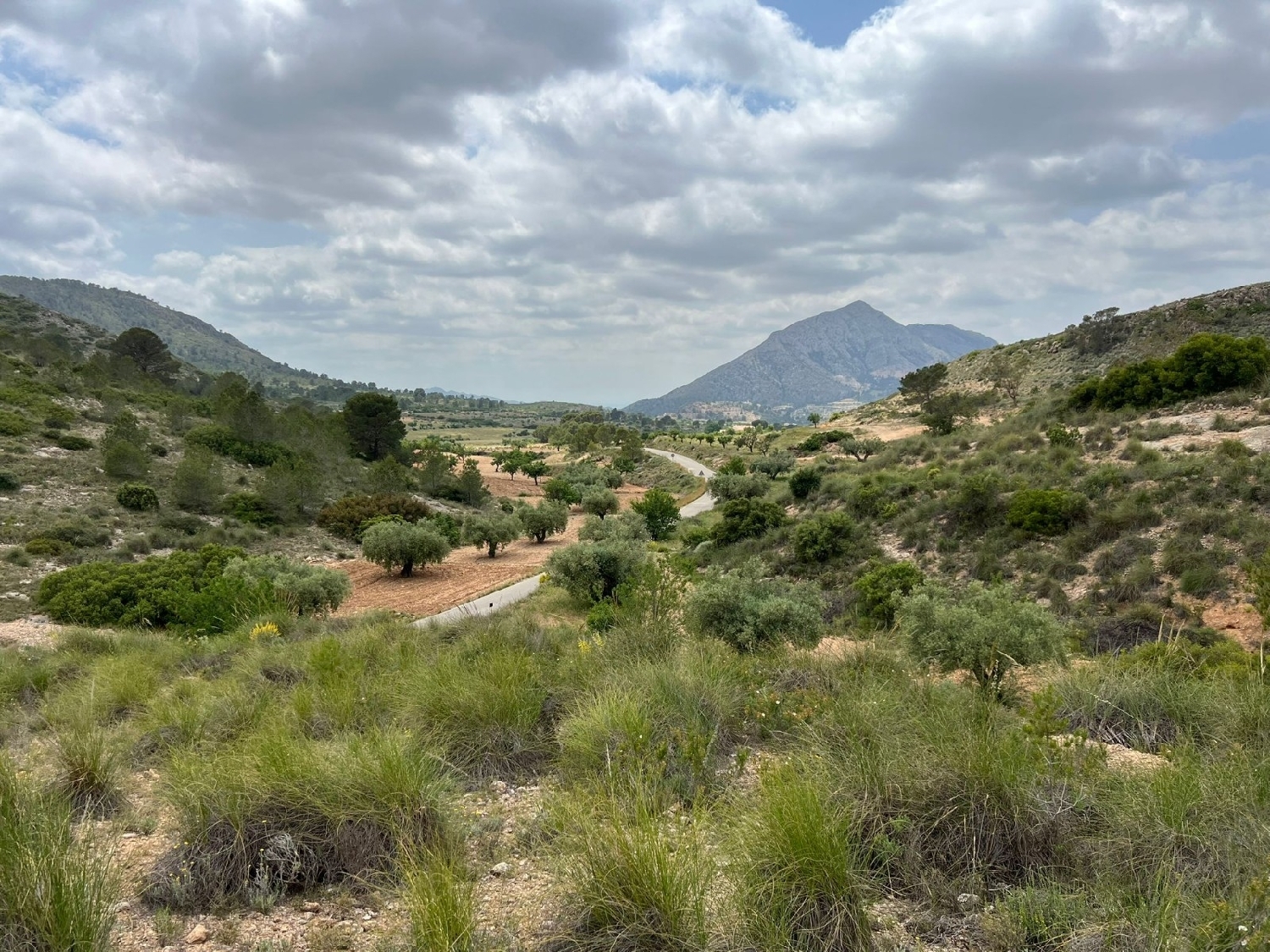  en venta terreno Hondón De Las Nieves Vinalopó Mitjà 3