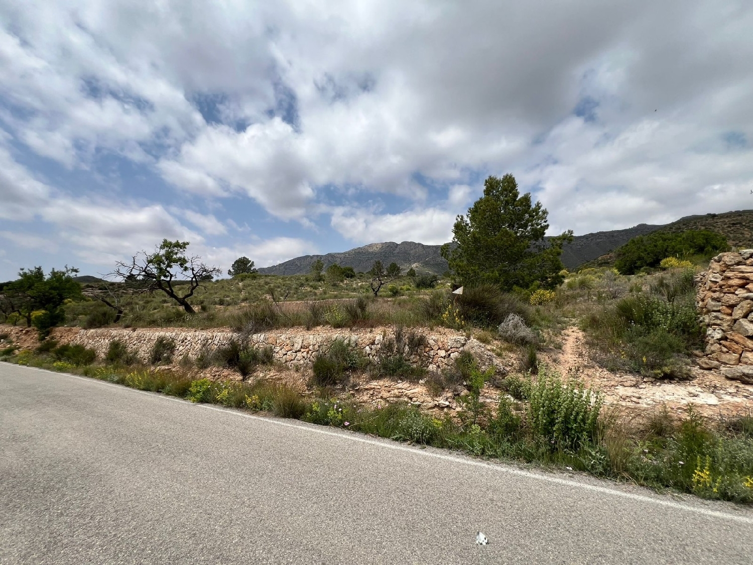  en venta terreno Hondón De Las Nieves Vinalopó Mitjà 9