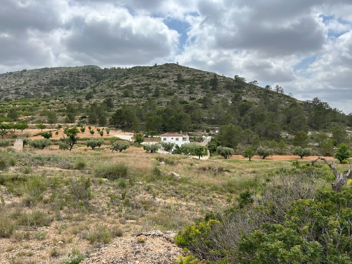  en venta terreno Hondón De Las Nieves Vinalopó Mitjà 4