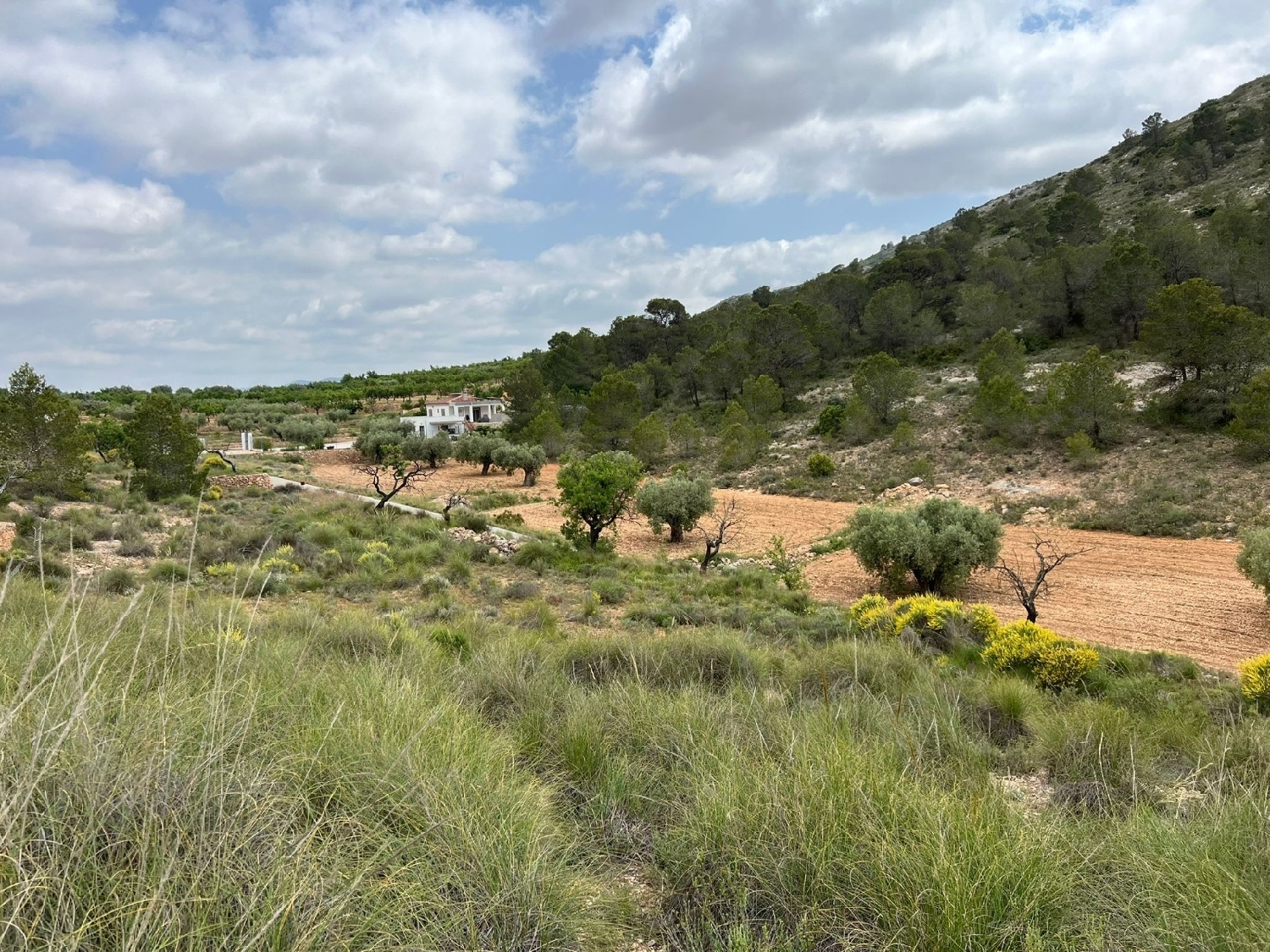  en venta terreno Hondón De Las Nieves Vinalopó Mitjà 6