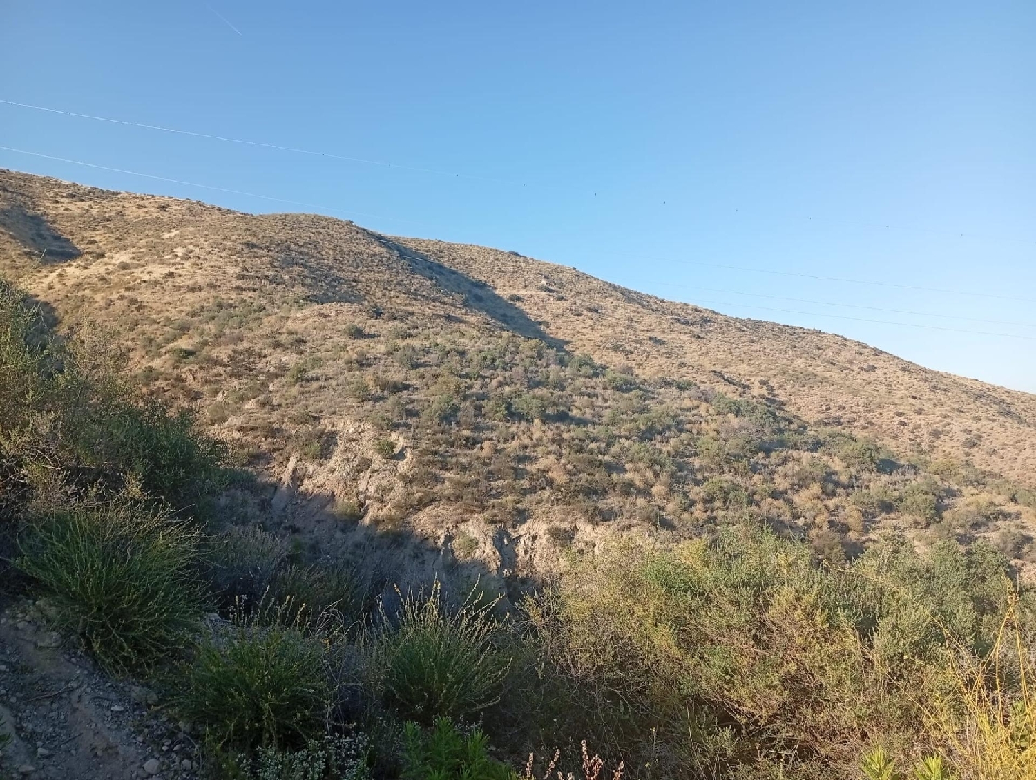  en venta terreno Huércal De Almería Comarca Metropolitana De Almería 5