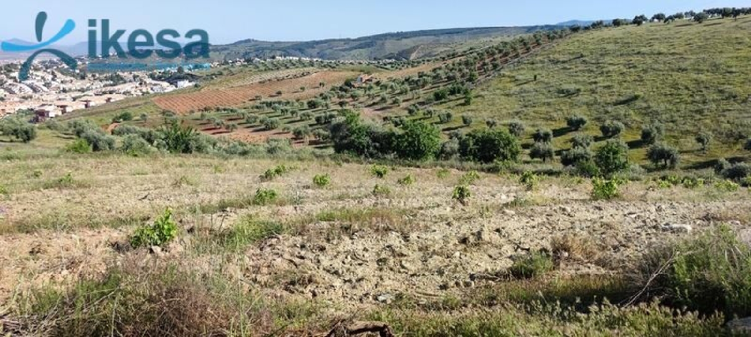  te koop perceel Huétor Vega Vega De Granada 1