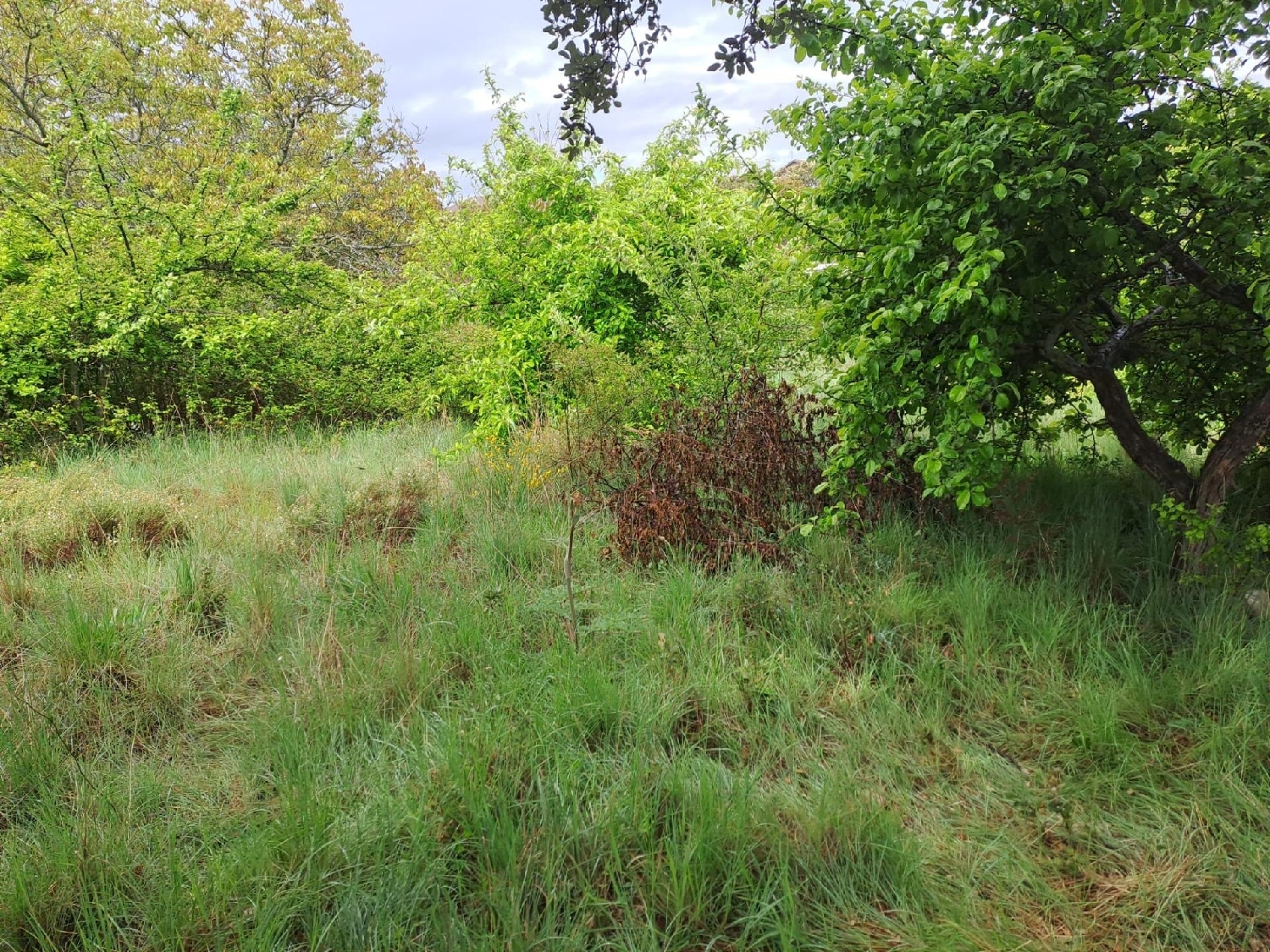  en venta terreno Ituero Y Lama Segovia Sur 6