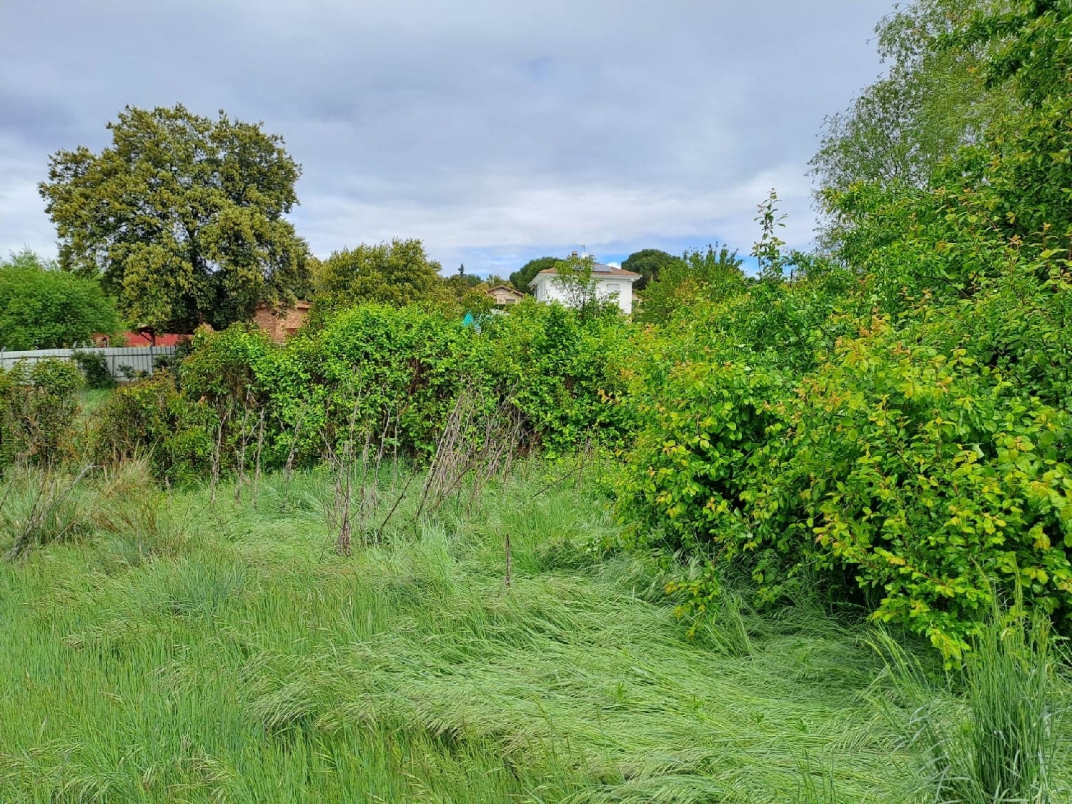  en venta terreno Ituero Y Lama Segovia Sur 8