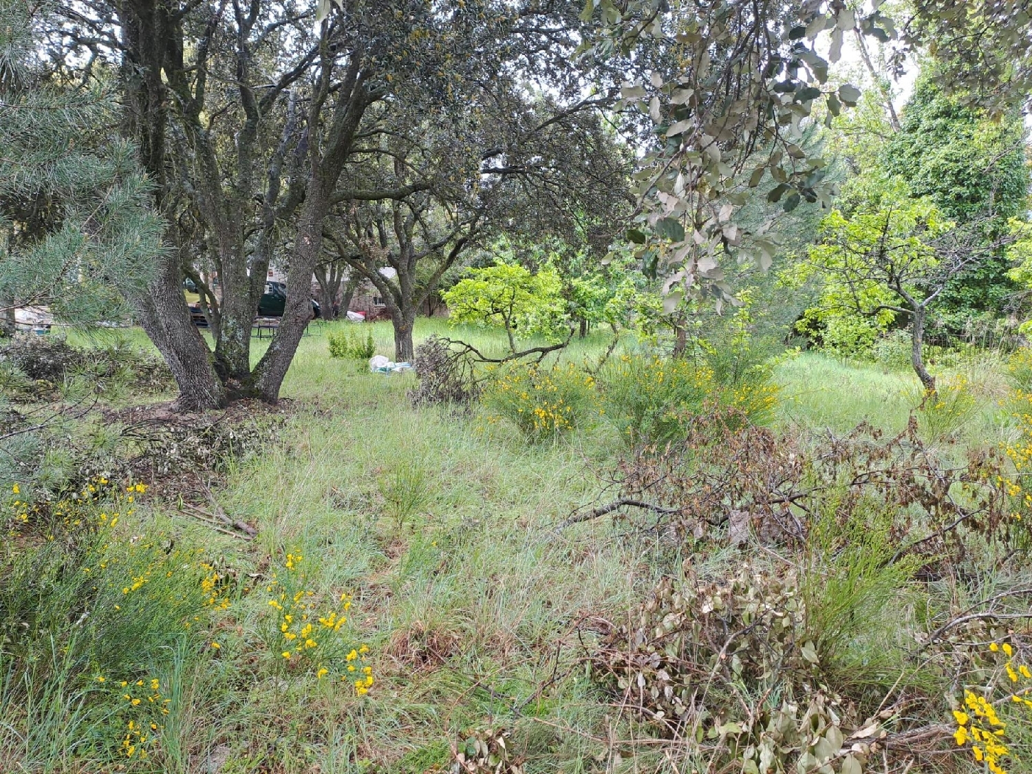 en venta terreno Ituero Y Lama Segovia Sur 5