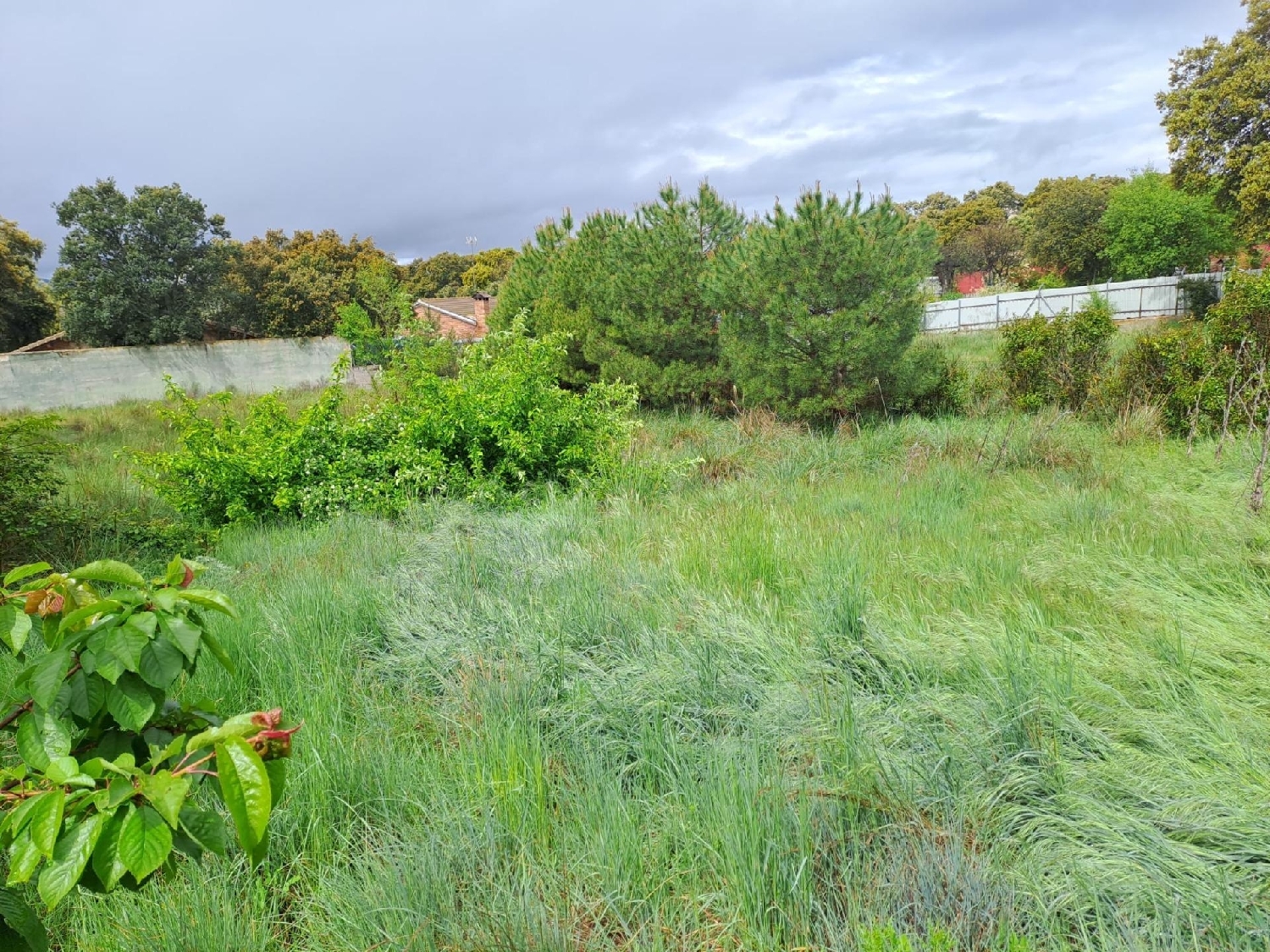  en venta terreno Ituero Y Lama Segovia Sur 7