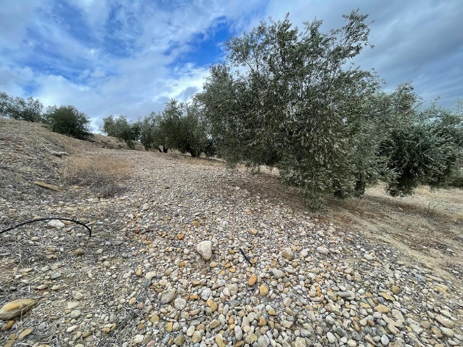 te koop perceel La Guardia De Jaén Metropolitana De Jaén 5