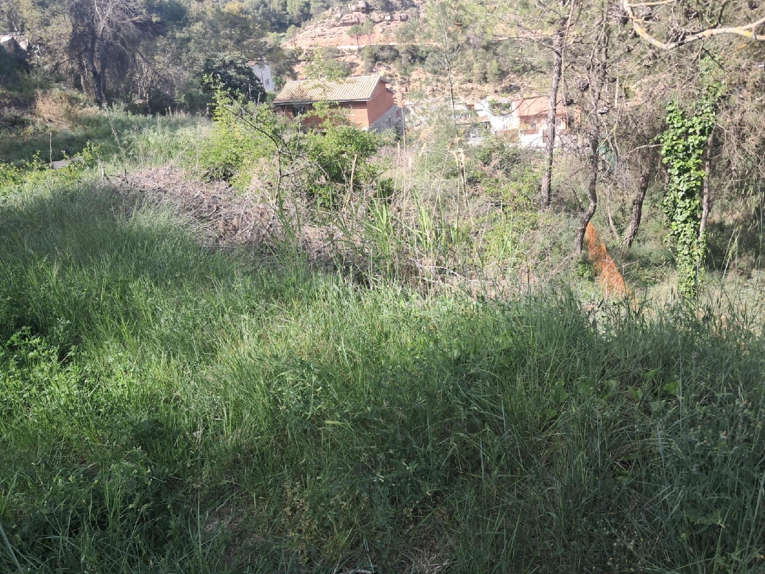 kaufen Grundstück La Pobla De Claramunt Anoia 2
