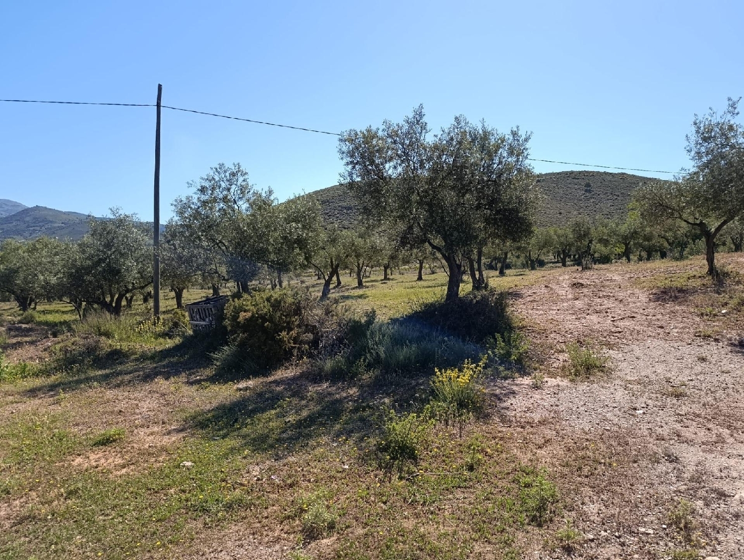  kaufen Grundstück Láujar De Andarax Alpujarra Almeriense 4