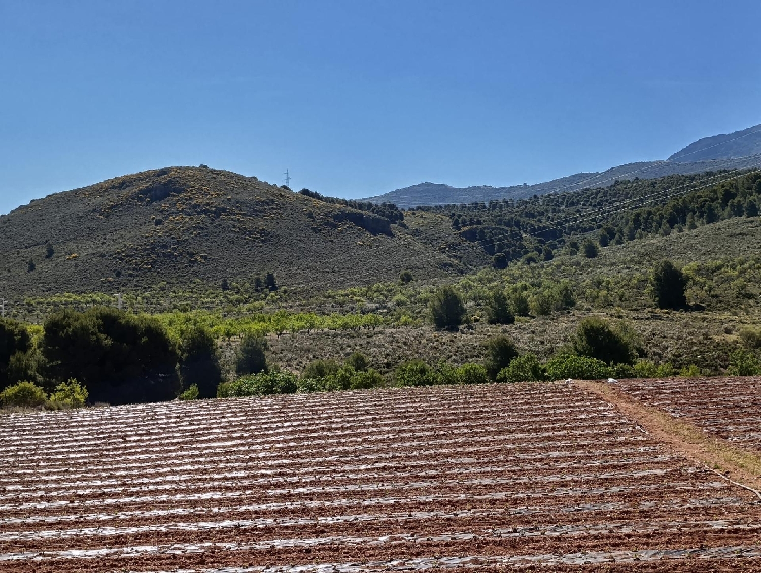  kaufen Grundstück Láujar De Andarax Alpujarra Almeriense 1