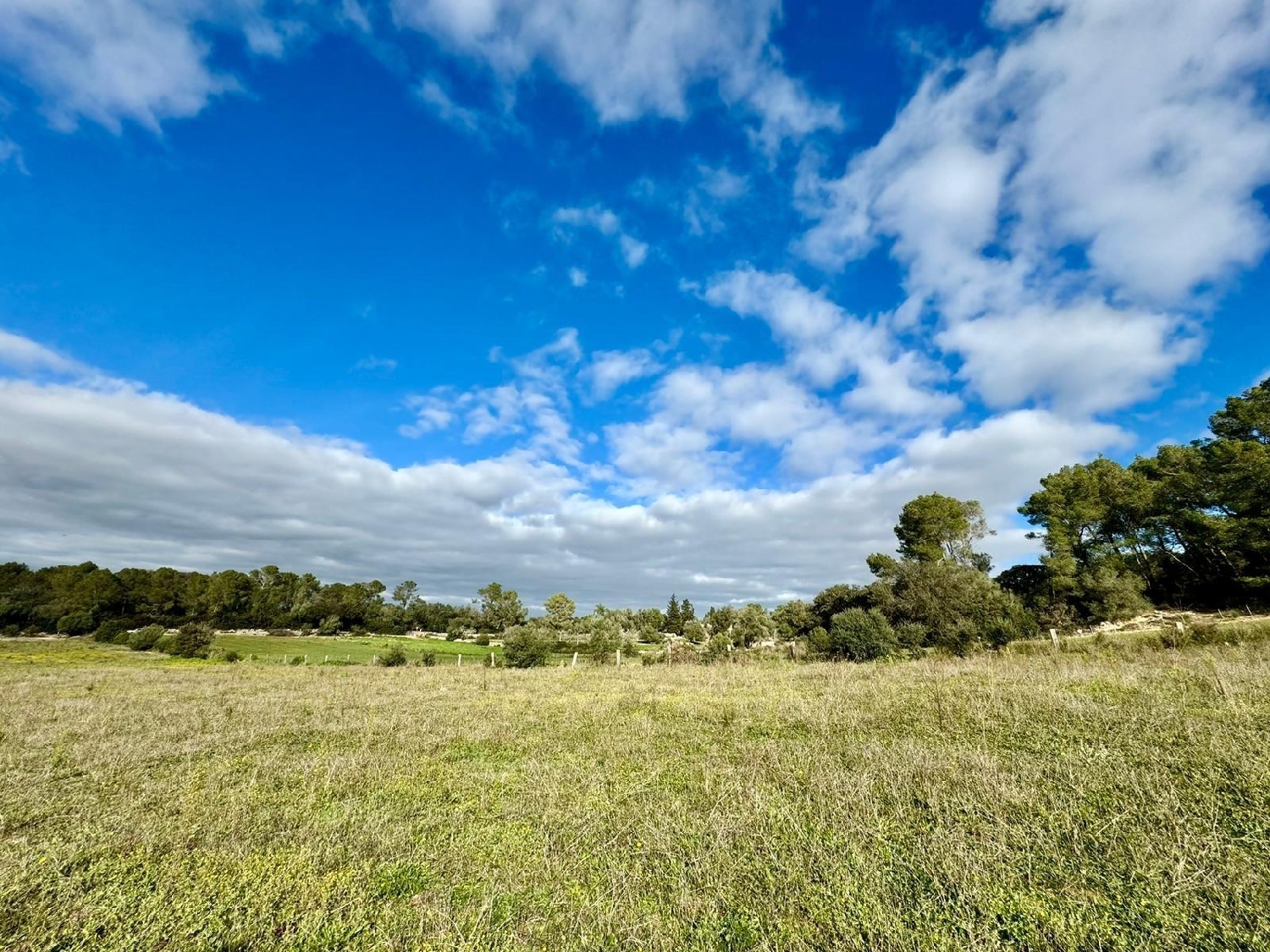  for sale plot Lloret De Vistalegre Pla (Es) 5