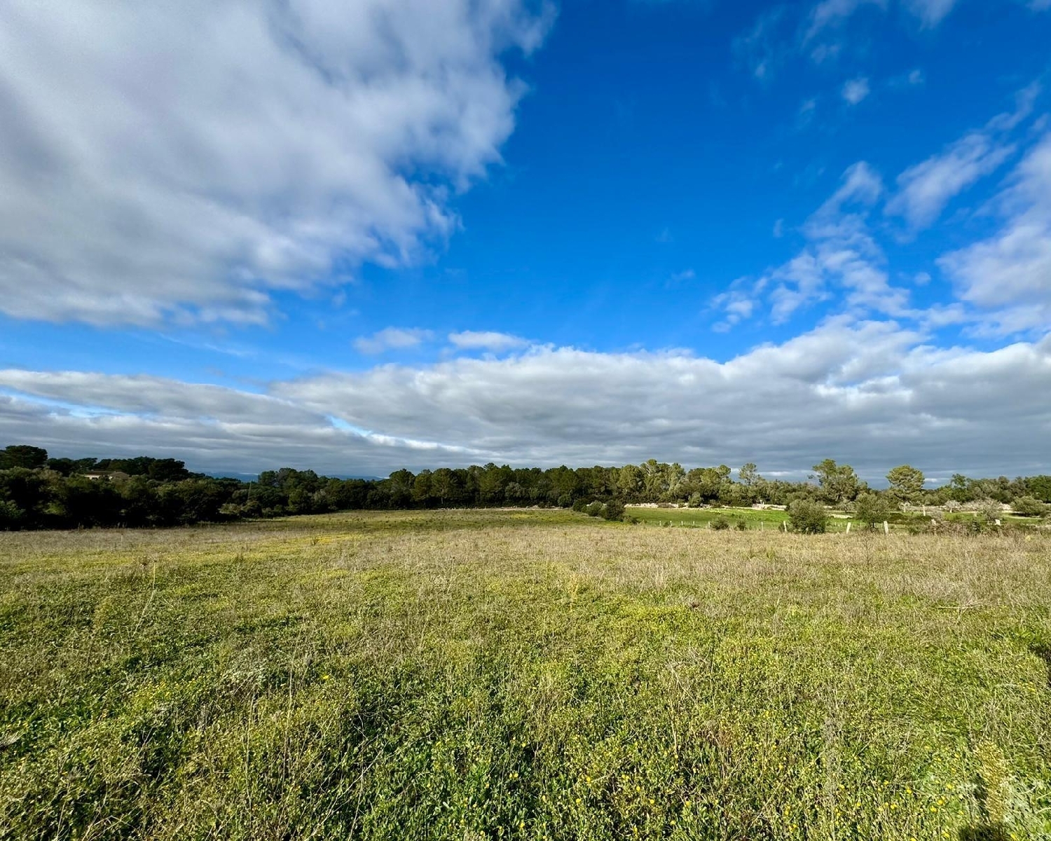  for sale plot Lloret De Vistalegre Pla (Es) 4