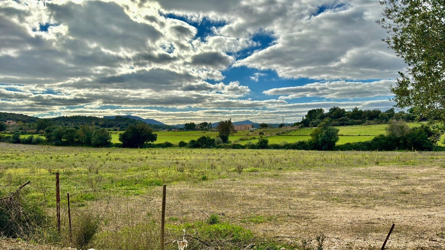  for sale plot Lloret De Vistalegre Pla (Es) 2
