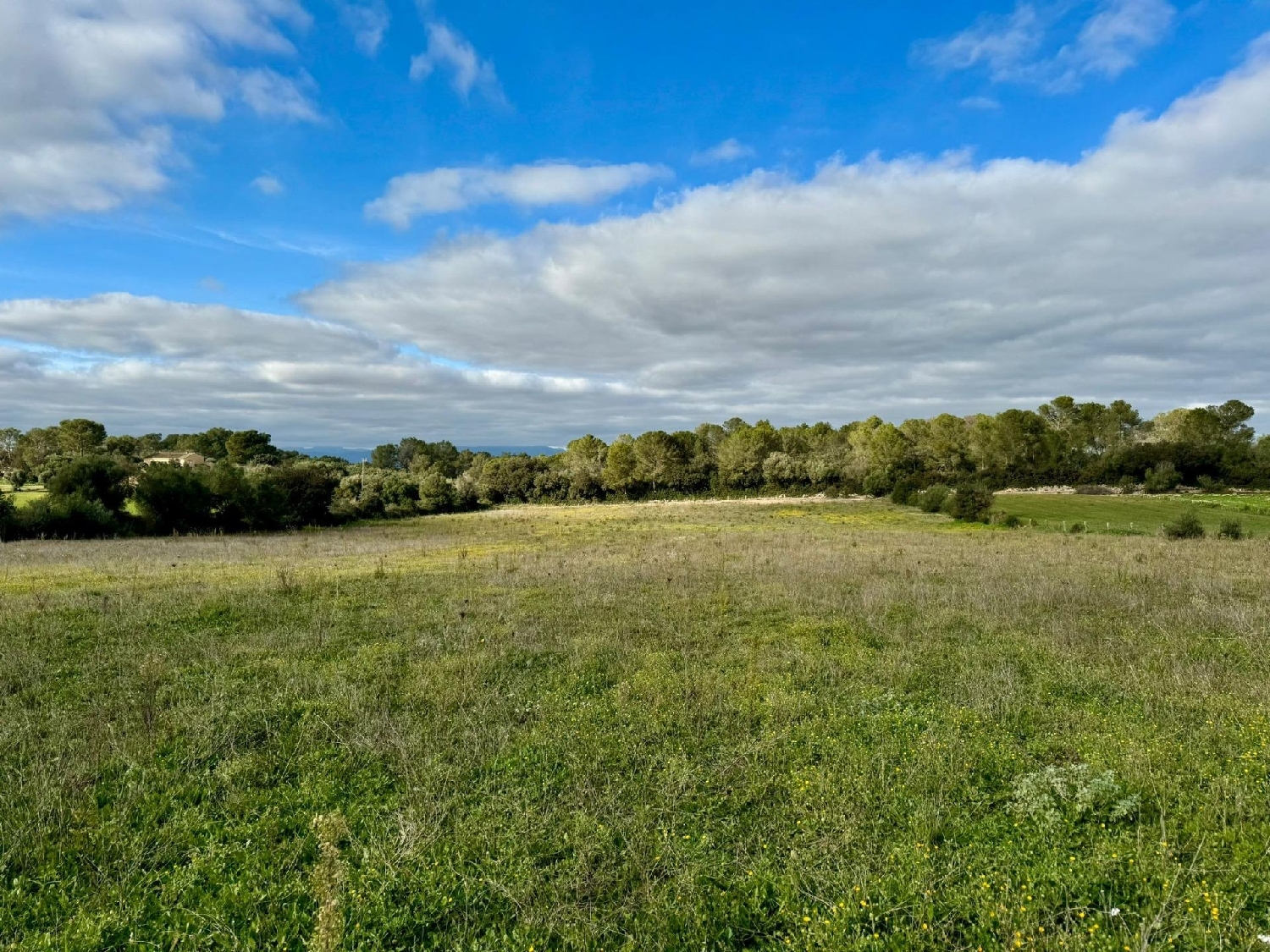  for sale plot Lloret De Vistalegre Pla (Es) 3