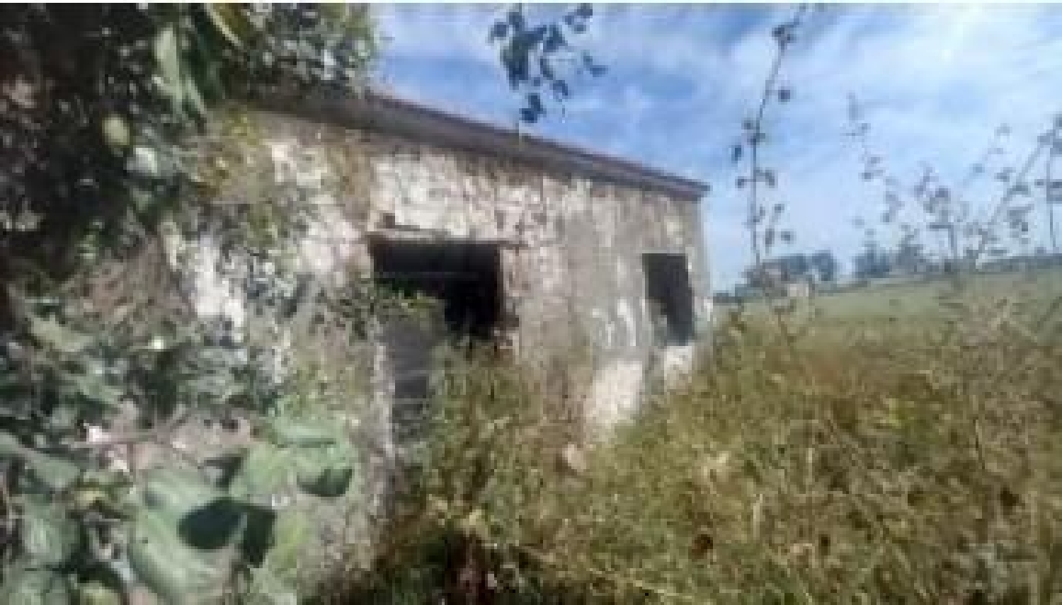 te koop perceel Los Palacios Y Villafranca Bajo Guadalquivir 4