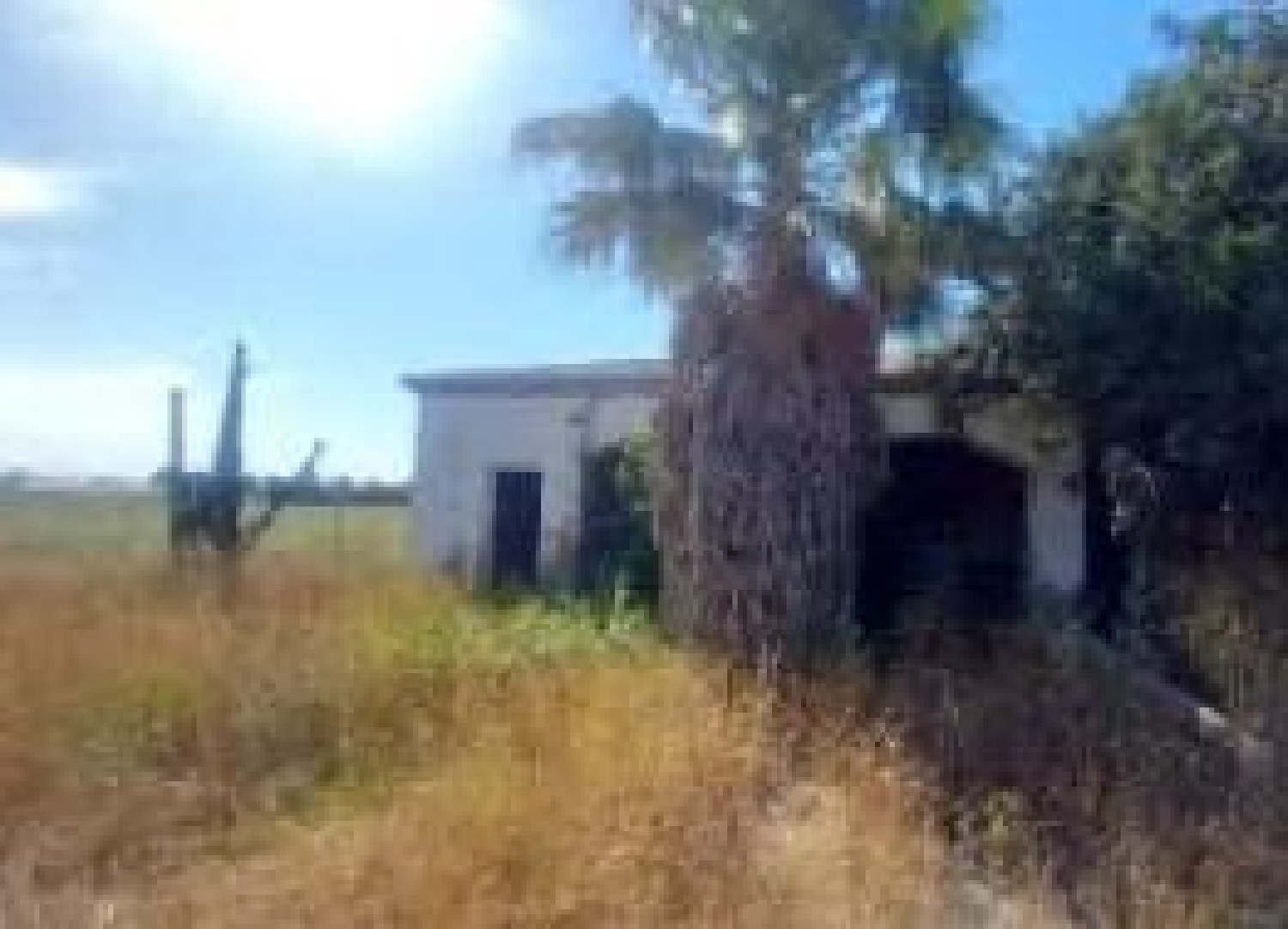 te koop perceel Los Palacios Y Villafranca Bajo Guadalquivir 3