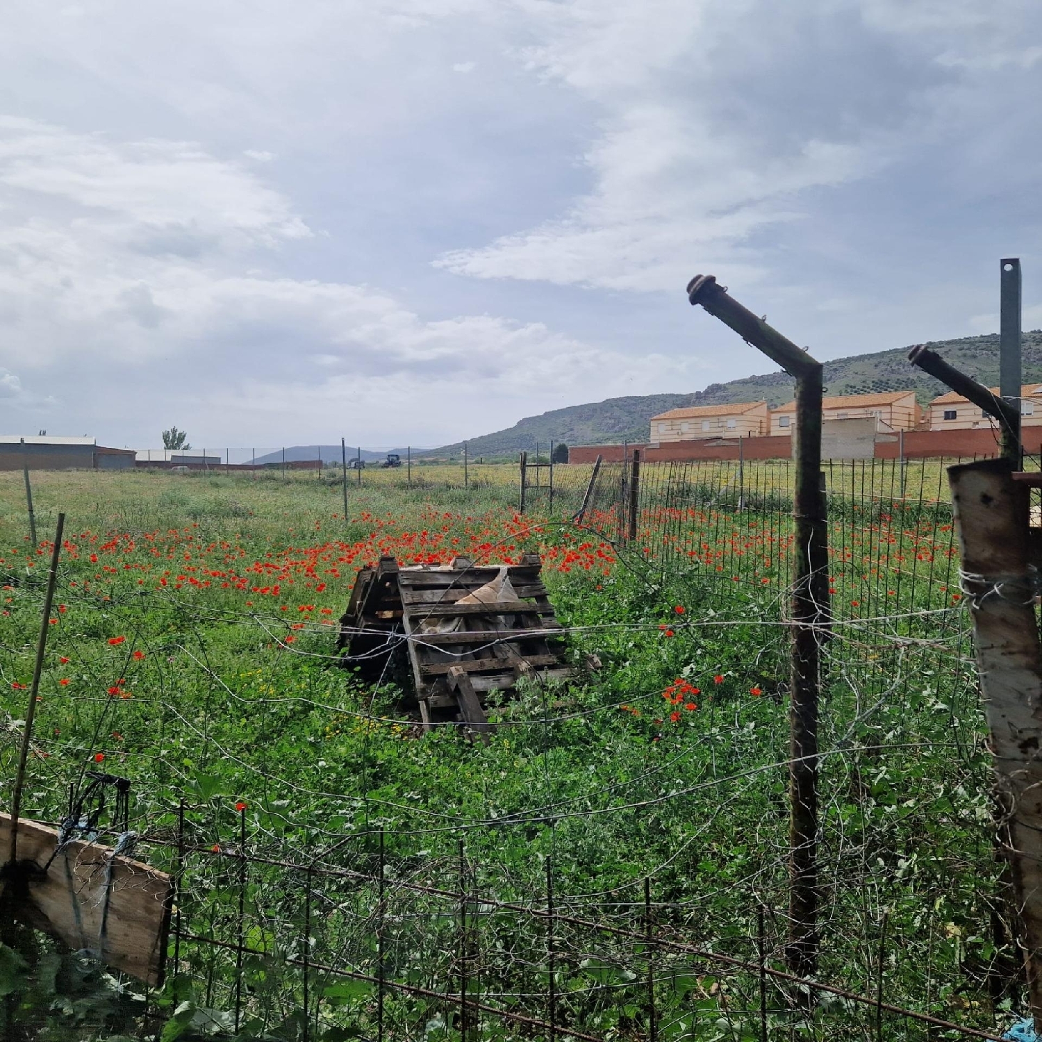 for sale plot Los Yébenes Montes De Toledo (Los) 4