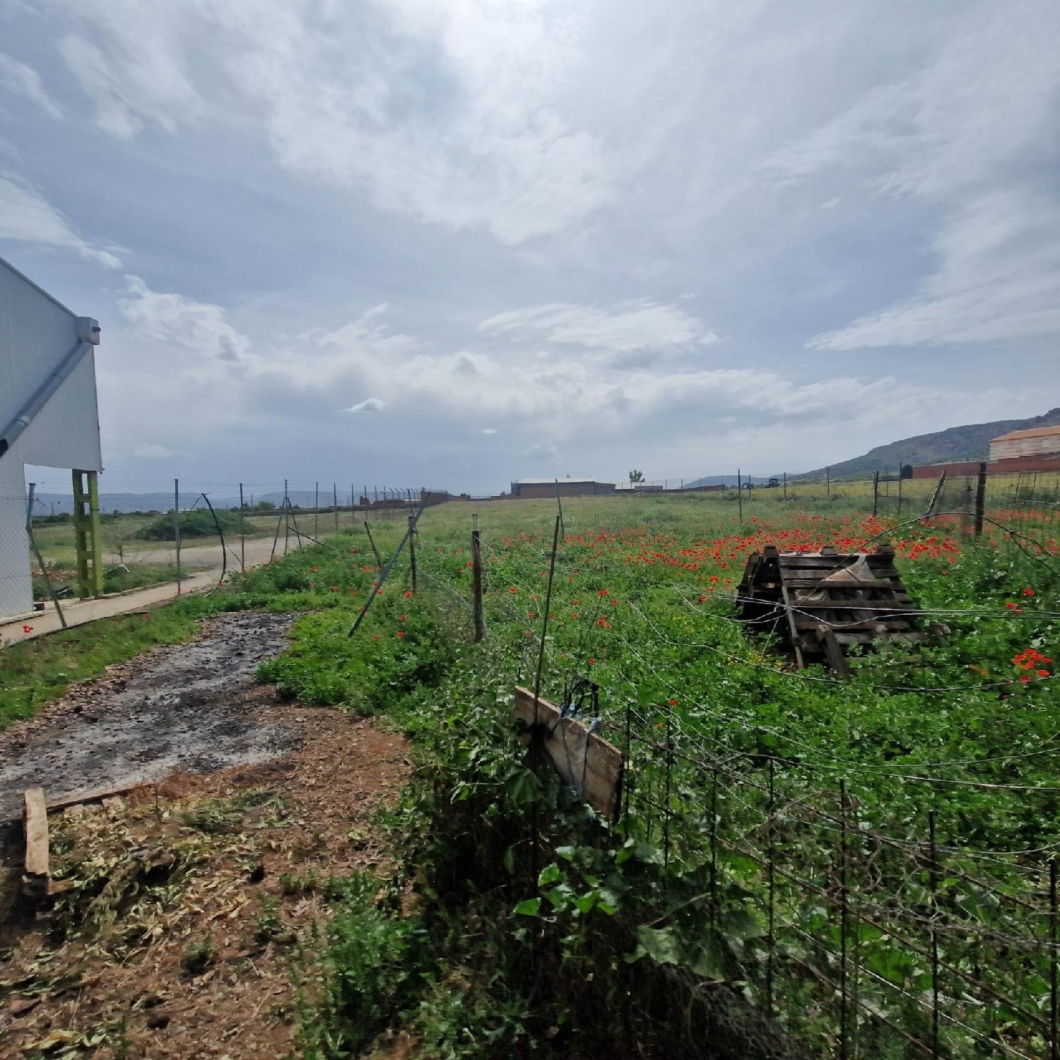  for sale plot Los Yébenes Montes De Toledo (Los) 3