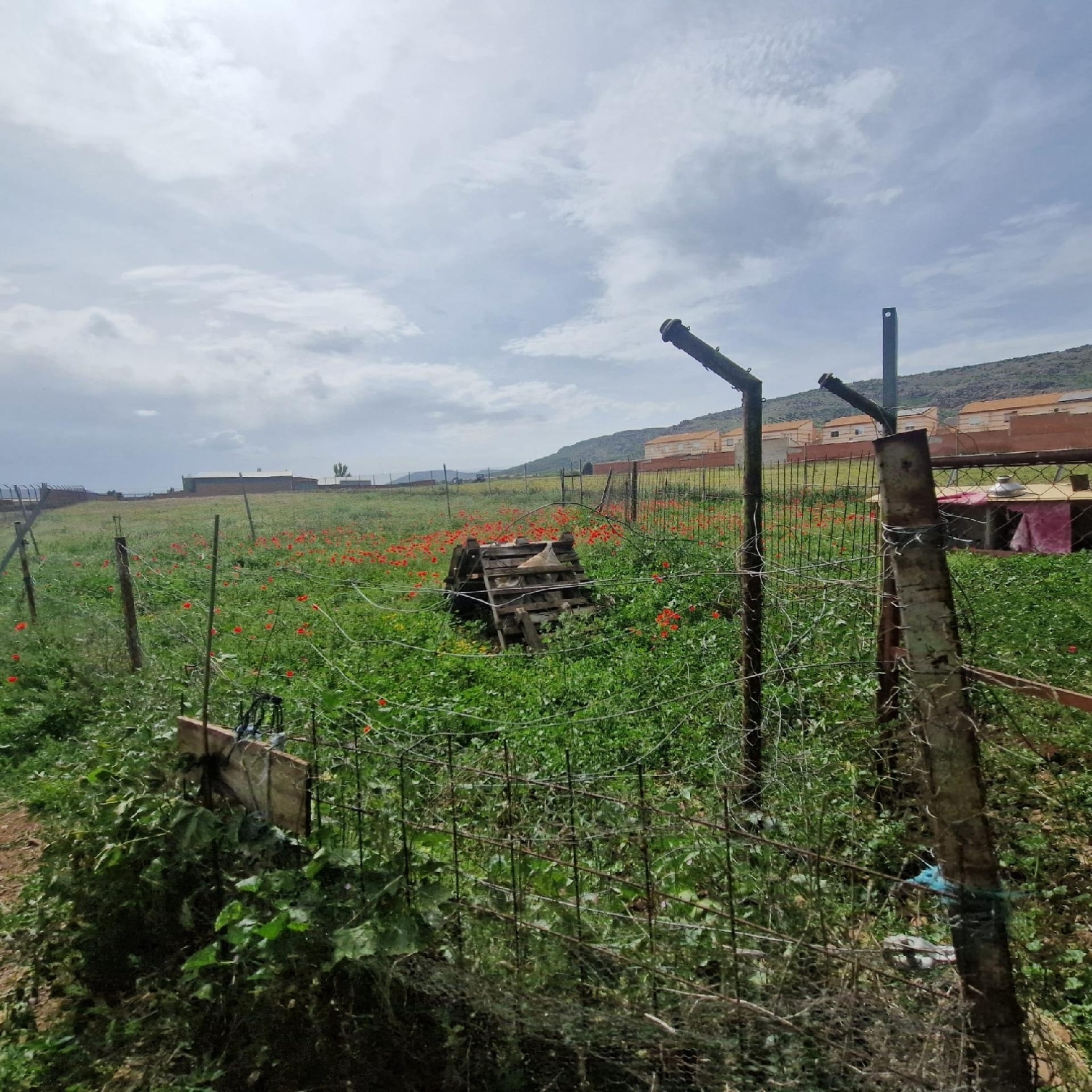  for sale plot Los Yébenes Montes De Toledo (Los) 8