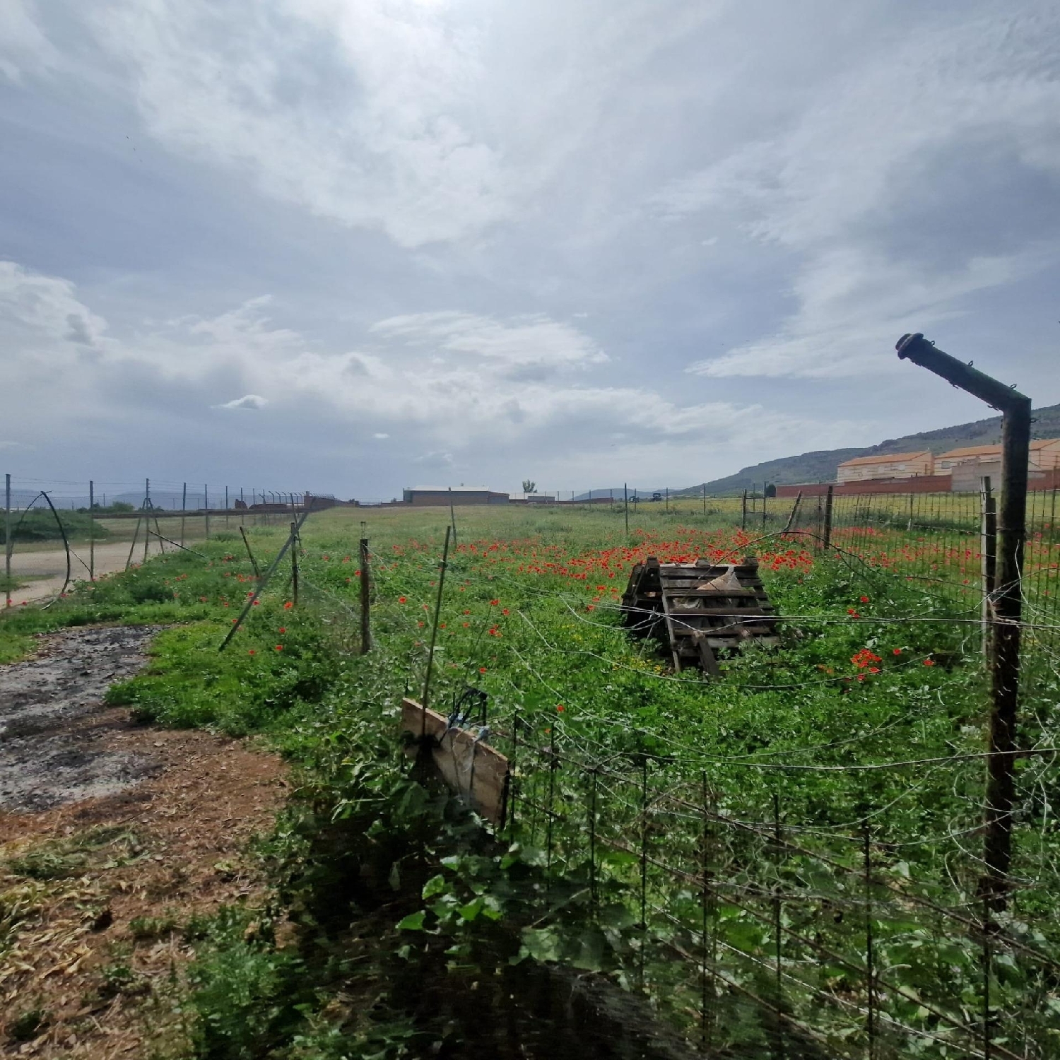  for sale plot Los Yébenes Montes De Toledo (Los) 2
