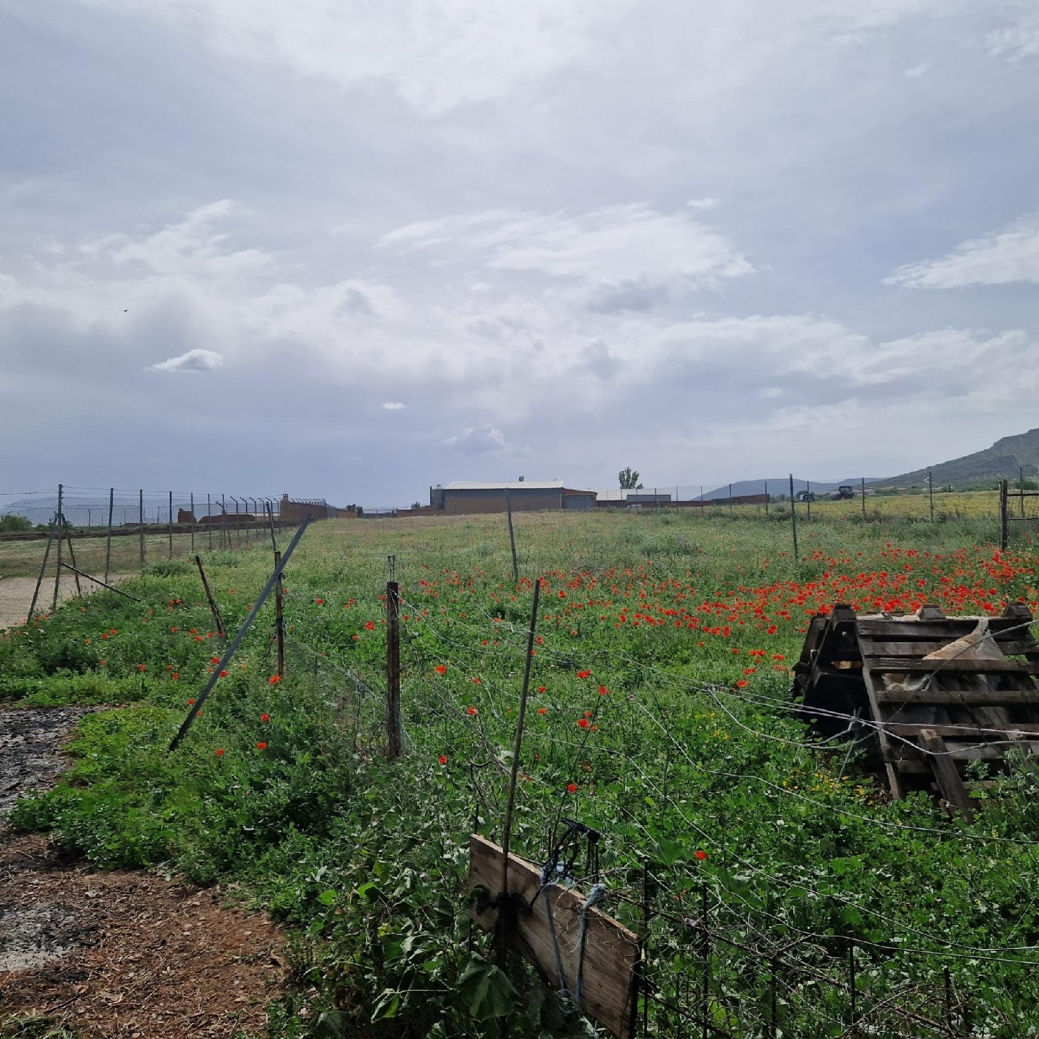  for sale plot Los Yébenes Montes De Toledo (Los) 6