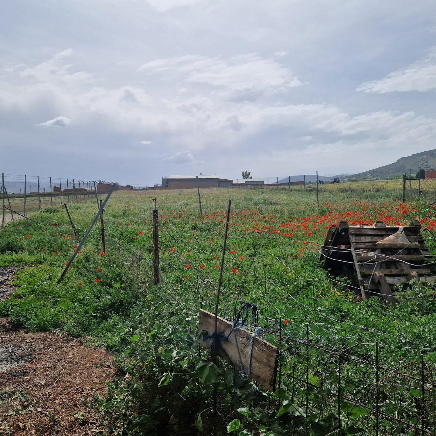  for sale plot Los Yébenes Montes De Toledo (Los) 5