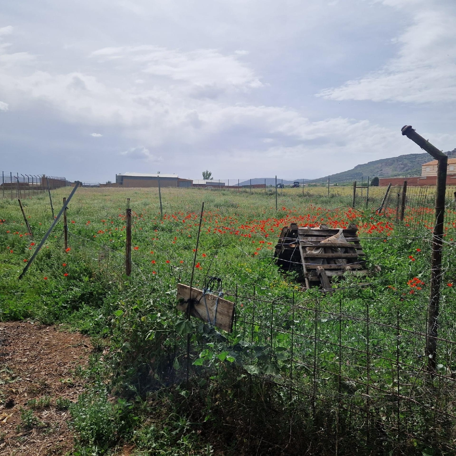  for sale plot Los Yébenes Montes De Toledo (Los) 7