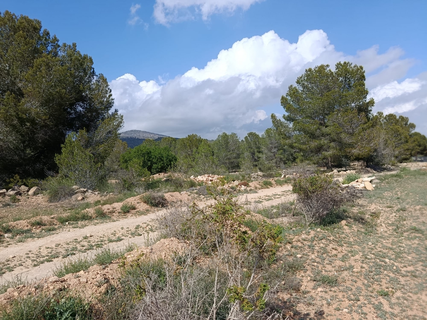  en venta terreno Monóvar Vinalopó Mitjà 2