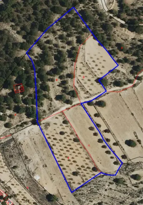 Monóvar Vinalopó Mitjà terreno foto