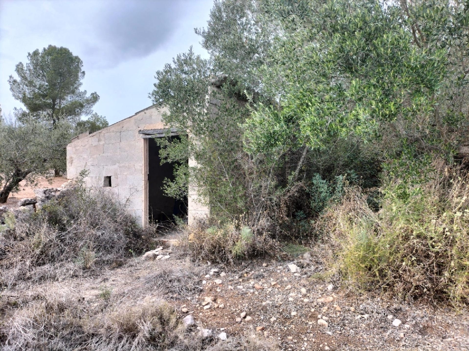  en venta terreno Navarrés Canal De Navarrés 2
