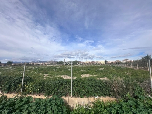 Novelda Vinalopó Mitjà plot foto 6387701