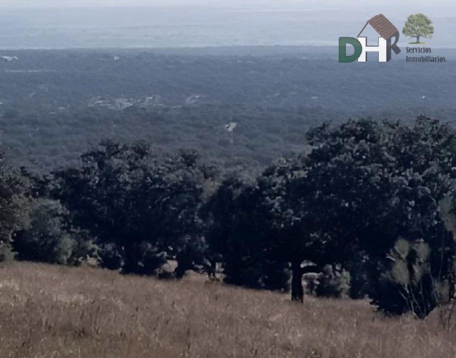  for sale plot O Toledo Ribeiro 4