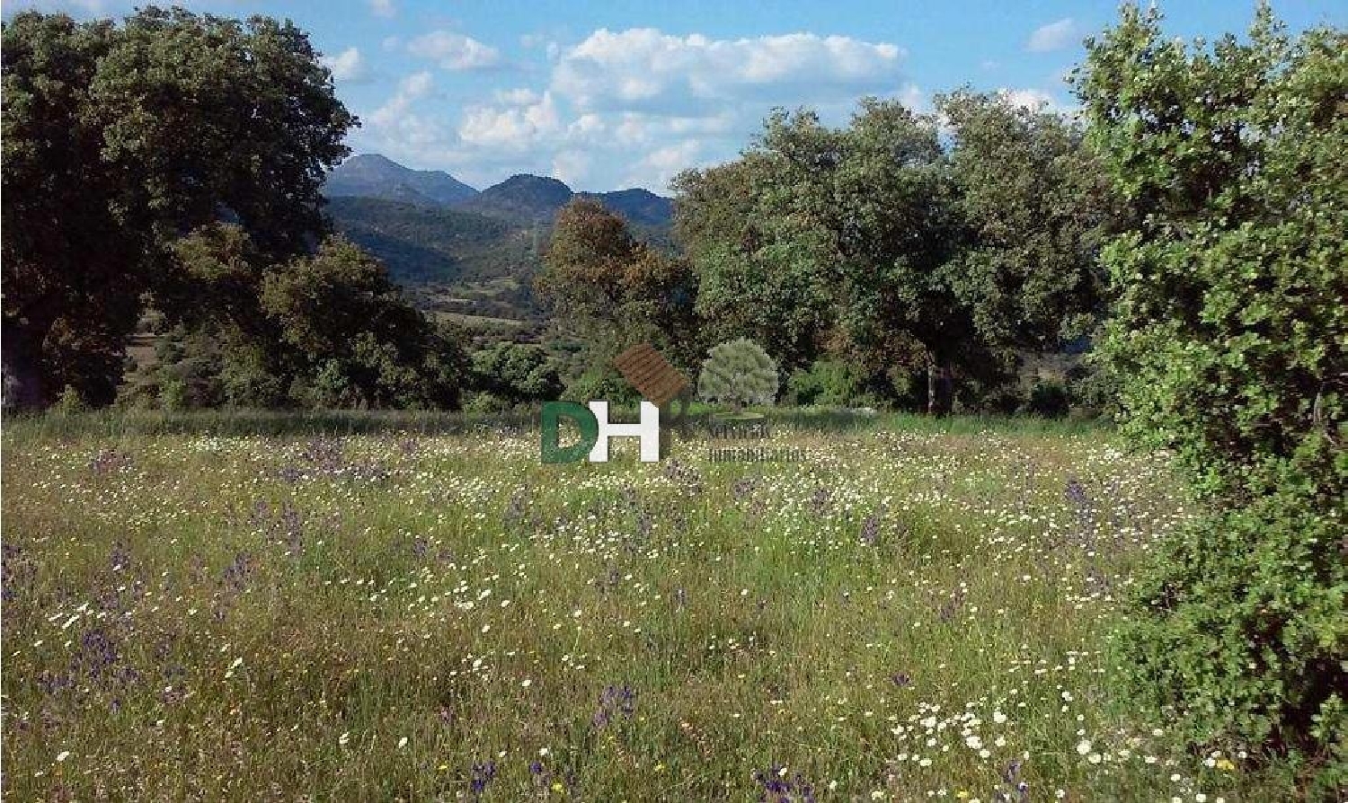  for sale plot O Toledo Ribeiro 2