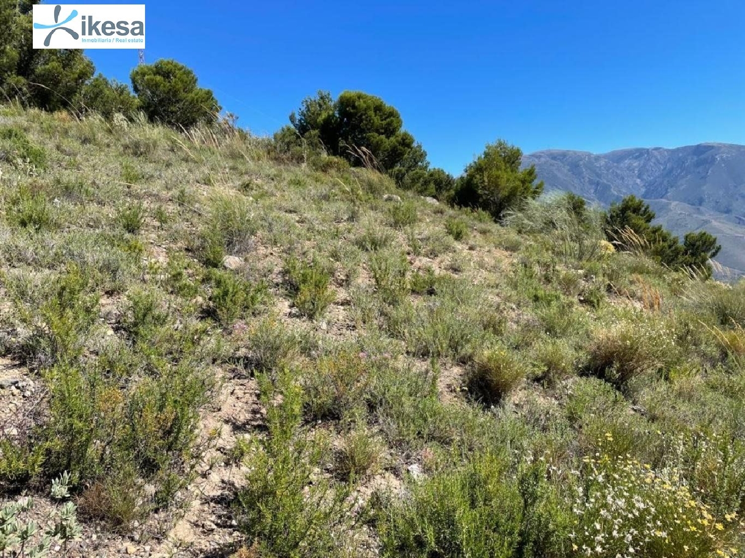  te koop perceel Órgiva Alpujarra Granadina 1
