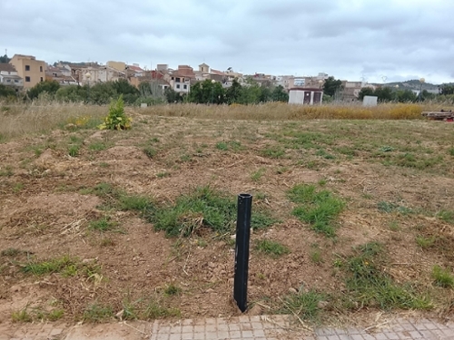Perelló Gironès tomt foto 6380706
