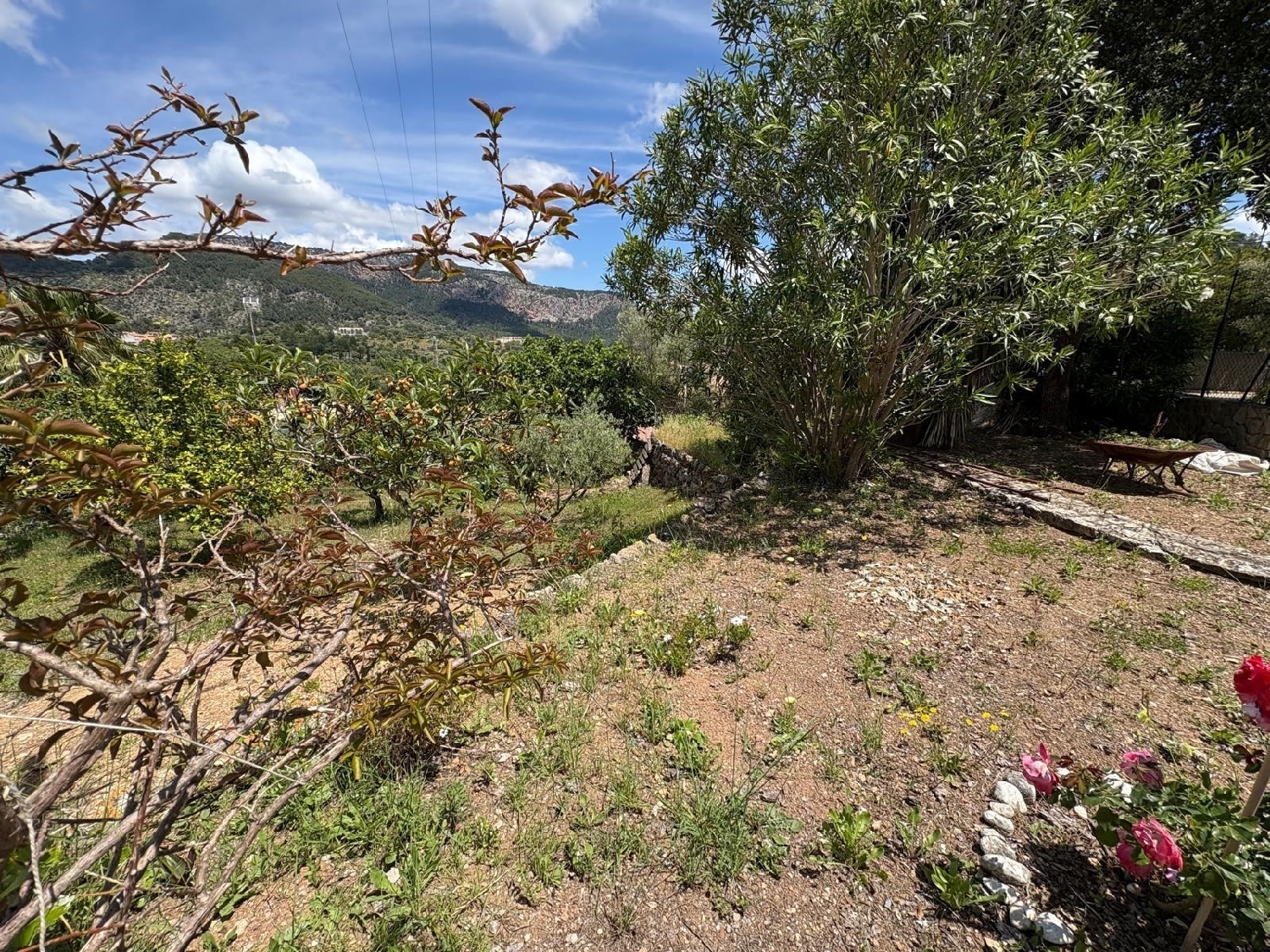 till salu tomt Puigpunyent Tramuntana 6